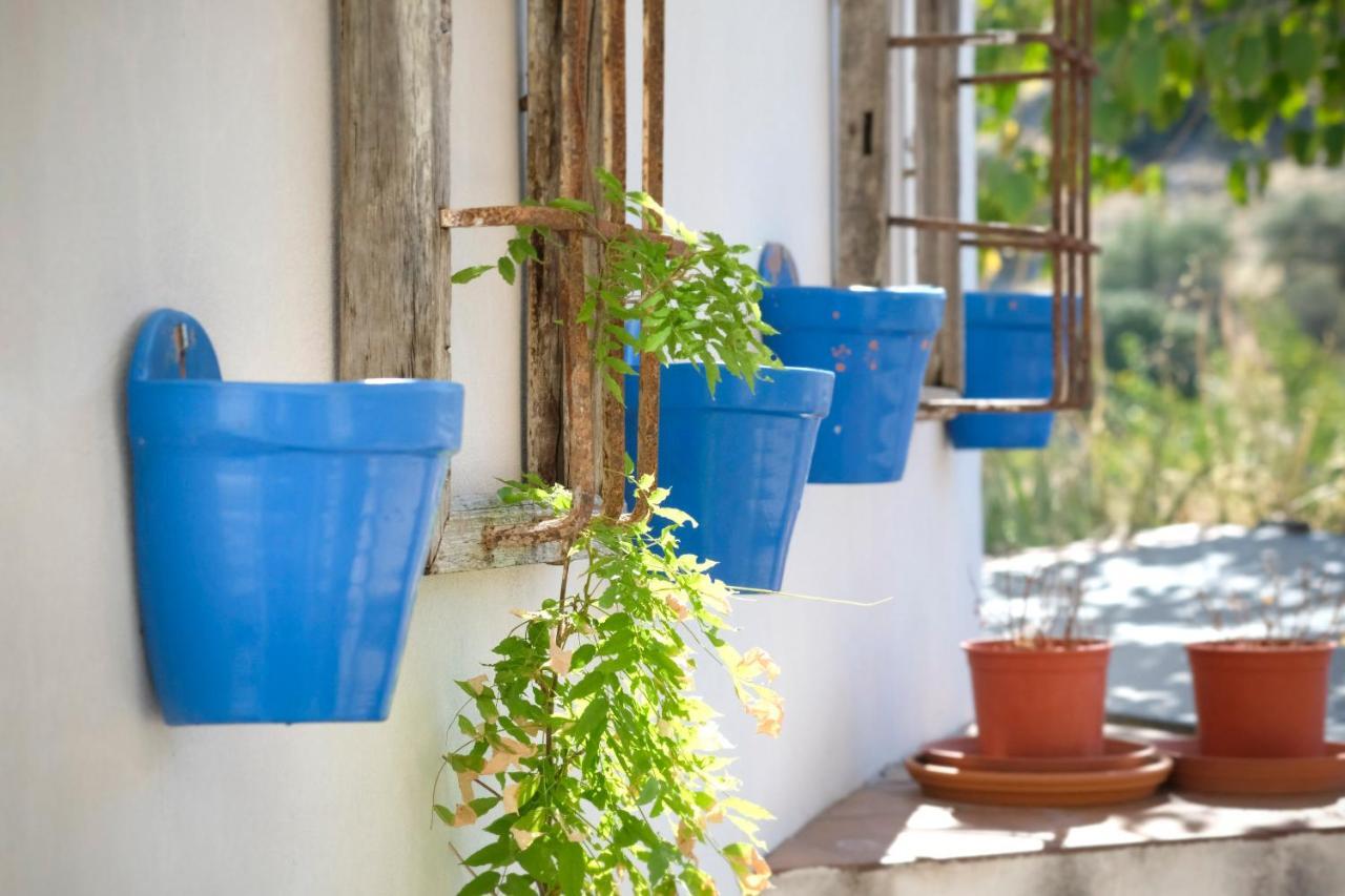 Los Castillarejos Apartamentos Rurales Luque Εξωτερικό φωτογραφία